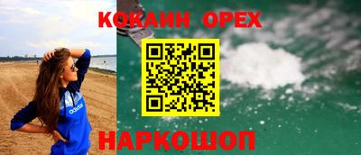 тгк Новодвинск