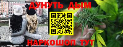 тгк Новодвинск