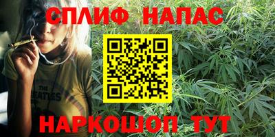 тгк Новодвинск