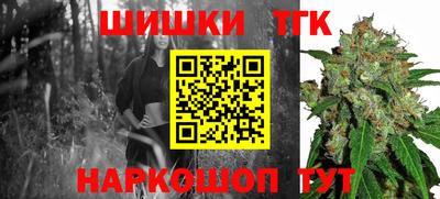 тгк Новодвинск