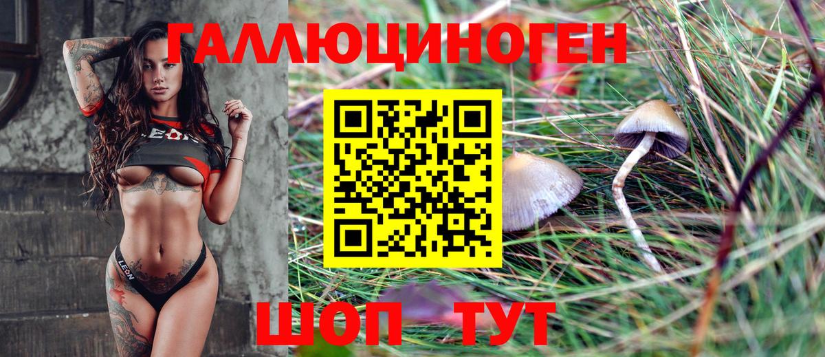 Псилоцибиновые грибы GOLDEN TEACHER  Псилоцибиновые грибы Cubensis  Ковров  Вход с VPN 